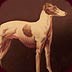 Greyhound Hall of Fame Photo