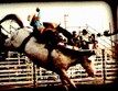 Tri-Rivers Fair Wednesday, August 8 - 11,2012 Photo