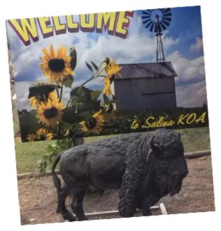 Welcome to the Salina Kansas KOA