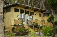 Eucalyptus Trees Surround this Hillside Location