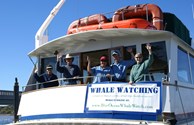 Whale Watching