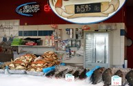 Fish Markets