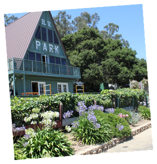 Salinas/ Monterey KOA