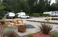 Appealing RV Sites!