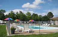Full size pool with umbrellas for shade