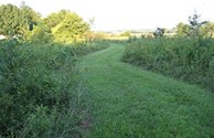 Take a brisk walk on the rustic trails