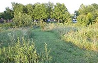 Great area to exercise!