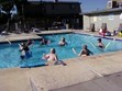 Water Aerobics and Pool Activities Photo