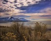Antelope Island Photo