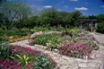 San Antonio Botanical Gardens Photo