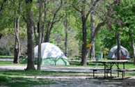 Beautiful tent sites amongst the tree's for that country feel