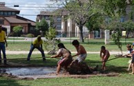 Memorial Day Tug A War
