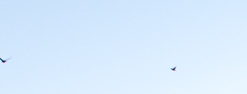 San Antonio Koa Camping In Texas Koa Campgrounds