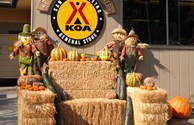 Fall Fest