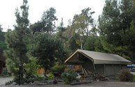 Safari Tent