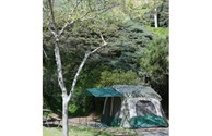 Tent Site