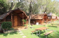 Cabins in a Row