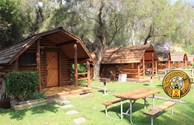 Cabins in a Row