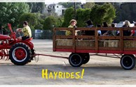 Hayrides!