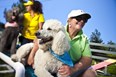 Huge Kamp K-9 Dog Park Photo