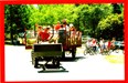 Hay Wagon Rides Photo