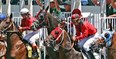 July 25-31:  Sonoma County Fair Photo