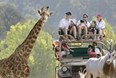 Safari Week July 16 -22 Photo