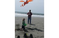 Fly a Kite at the Beach
