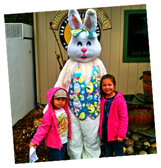 The Easter Bunny is Coming