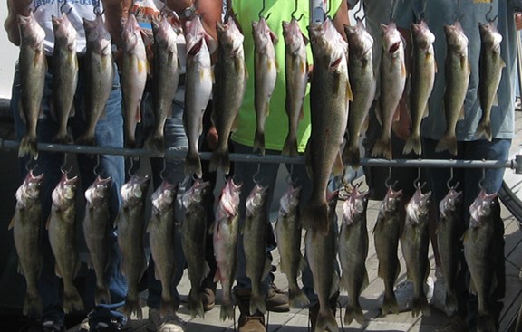 Bass and walleye fishing charters available