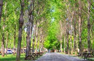 Walk around