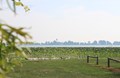 Sandusky Bay View