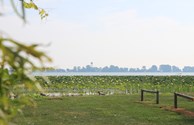Sandusky Bay View