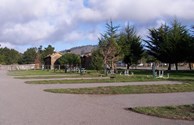 Eucalyptus Camp