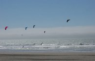 Kite Surfers