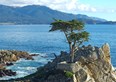17 Mile Drive Scenic Tour Photo