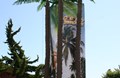 Climbing Palm Trees