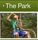 Tree Top Adventures Photo