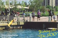 Go Fishing!