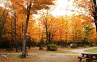 Fall colours!