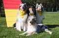 Camp K9 Hosts
