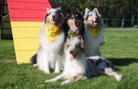 Camp K9 Hosts