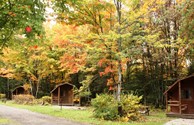 Cabins in the fall