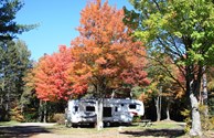 Fall is coming