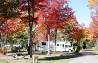 Beautiful Fall Colours in northern Ontario!
