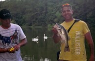 Catch and Release