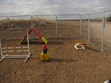 Doggie Playground Photo