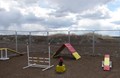 Doggie Playground