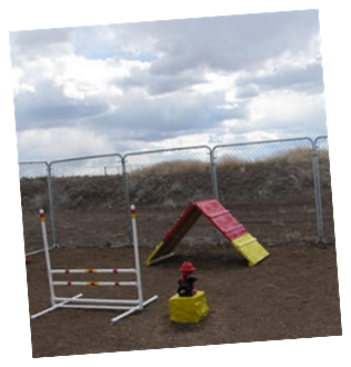 Doggie Playground