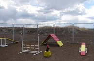 Doggie Playground